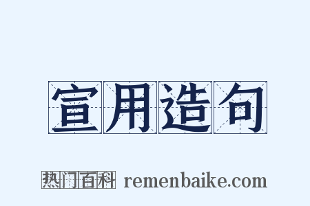 宣用造句是什么意思的图片